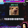 娱乐八卦吃瓜是真的吗,吃瓜真相与谣言的边界