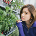 花房姑娘电视剧免费播放,免费观看，浪漫爱情故事温馨呈现