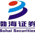 渤海证券股份有限公司,天津滨海新区崛起的综合类证券巨头