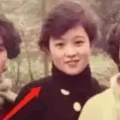 娱乐圈吃羊角瓜的女明星,娱乐圈“吃瓜”女明星众生相