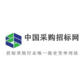 中国招标,铁路工程施工投标策略与案例分析